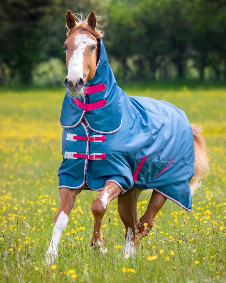 VJPSjZHa_1.webp New SHIRES EQUESTRIAN Shires Tempest Original Lite Combo Turnout Sheet Teal