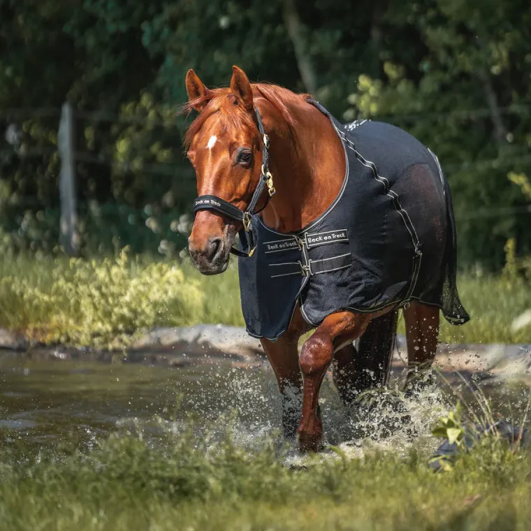 VnmpAZLM_1.webp Online BACK ON TRACK BOT LL Back on Track® Sienna Mesh Cooler with Knitted Lining Black