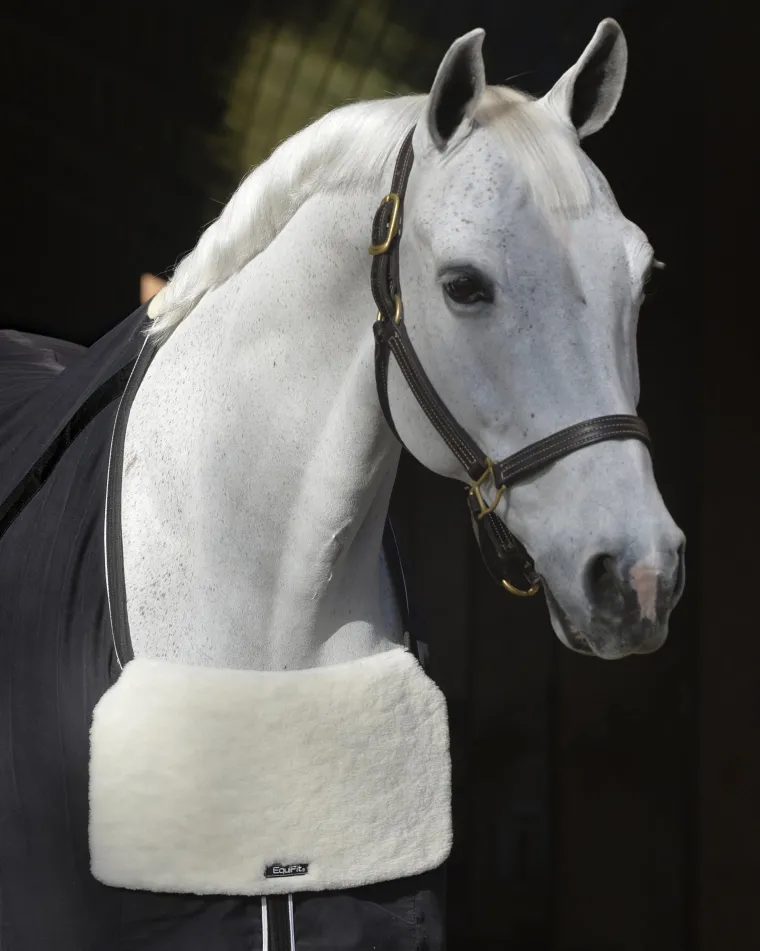 VronhHzk_4.webp Fashion EQUIFIT ® BlanketBib