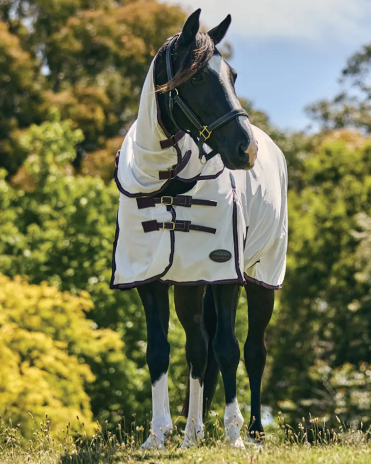 VvQdEwmW_8.webp Fashion WEATHERBEETA ® ComFiTec™ Essential Mesh II Combo Neck