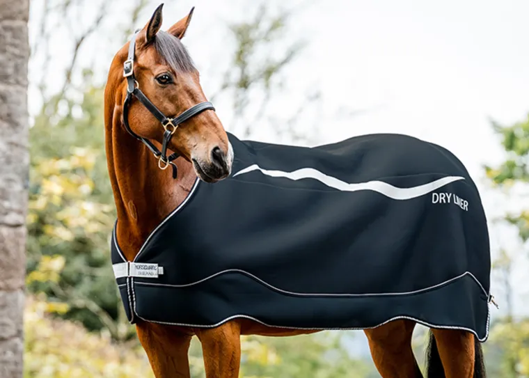 WtuooQsy_5.webp Hot HORSEWARE ® Ireland Dry Liner Navy/Silver
