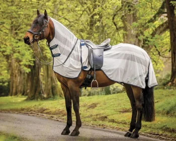 Clearance HORSEWARE ® Ireland Amigo® Flyrider