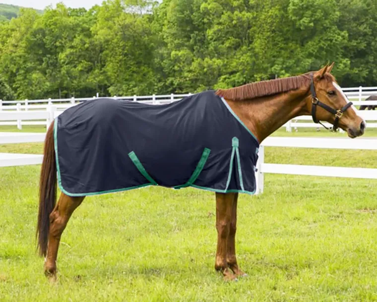 XiOWSfpU_0.webp Discount JPC EQUESTRIAN TuffRider® Kozy Komfort Stable Sheet