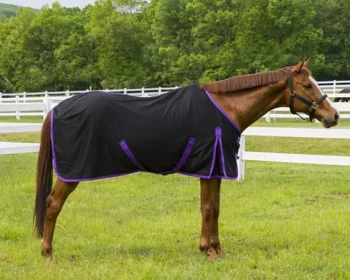Discount JPC EQUESTRIAN TuffRider® Kozy Komfort Stable Sheet