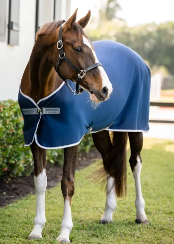 New HORSEWARE ® Ireland Amigo® Jersey Cooler - Pony Navy/Titanium Grey