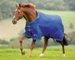 Hot SHIRES EQUESTRIAN Shires Highlander 200G Blanket