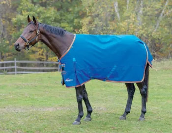Hot SHIRES EQUESTRIAN Shires Highlander 200G Blanket