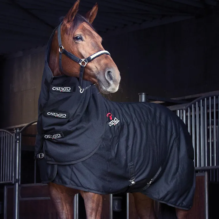 YOrofjuk_2.webp Outlet ERS Catago® FIR-Tech Rug