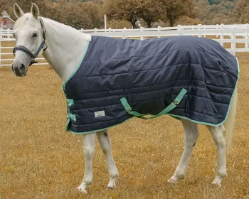 Clearance JPC EQUESTRIAN TuffRider® Kozy Komfort Stable Blanket