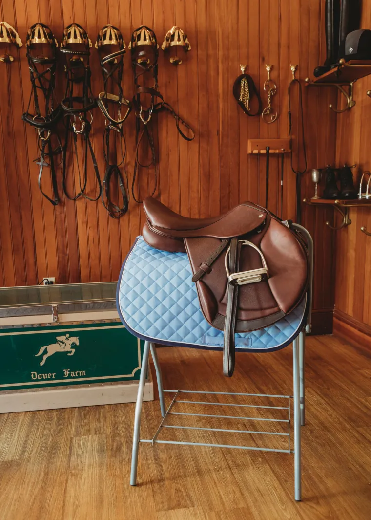 YhDbBnfQ_4.webp Outlet KING YOUNG Portable Saddle Stand