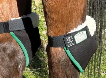 Sale CLICK HORSE PRODUCTS Hock Shield