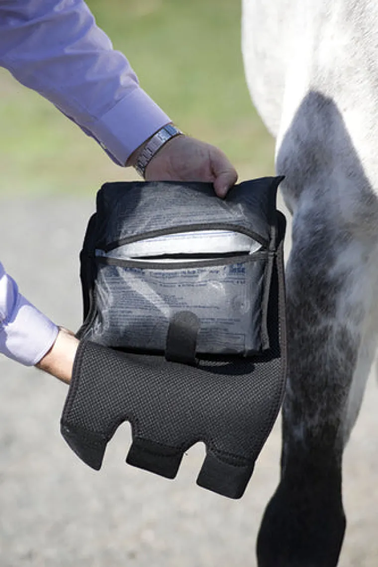 YzHKwyat_1.webp Clearance MACKINNON Ice Horse® Cold Capsule™ Inserts - 2 Pack