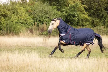 Fashion HORSE HEALTH TRADE LeMieux® Kudos 100 Gram Turnout Blanket Navy