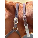 Hot INTREPID INTL Best Friend® Hinged Cribbing Strap