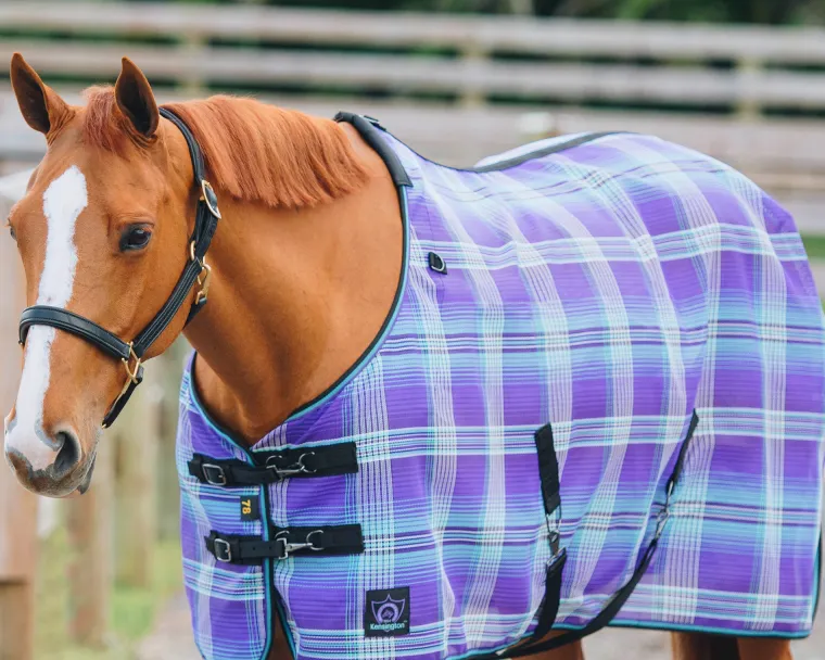 ZyiuaXjJ_11.webp Clearance KENSINGTON ™ Signature Protective SureFit® Textilene®Fly Sheet