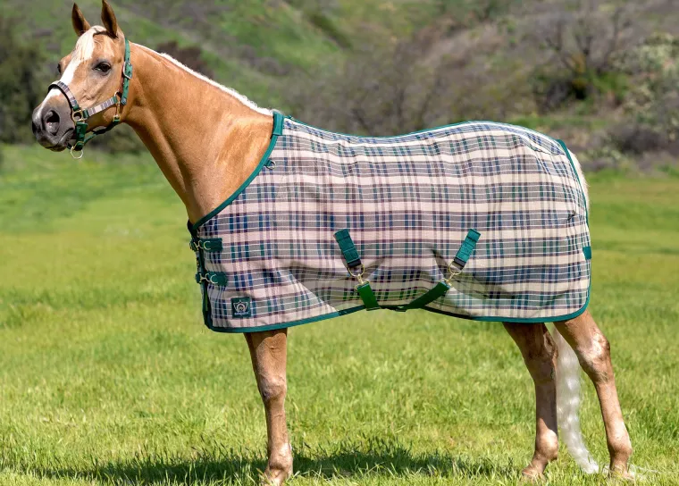 ZyiuaXjJ_19.webp Clearance KENSINGTON ™ Signature Protective SureFit® Textilene®Fly Sheet