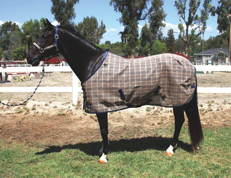 ZyiuaXjJ_32.webp Clearance KENSINGTON ™ Signature Protective SureFit® Textilene®Fly Sheet