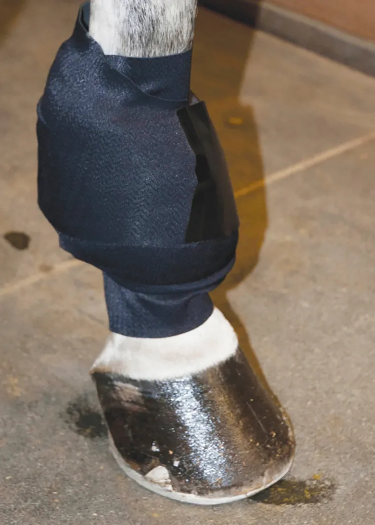 aCmqZuSk_0.webp Outlet MACKINNON Ice Horse® All-Purpose Wrap