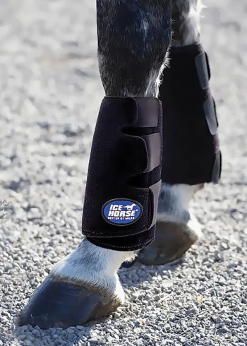 Outlet MACKINNON Ice Horse® Tendon Boots