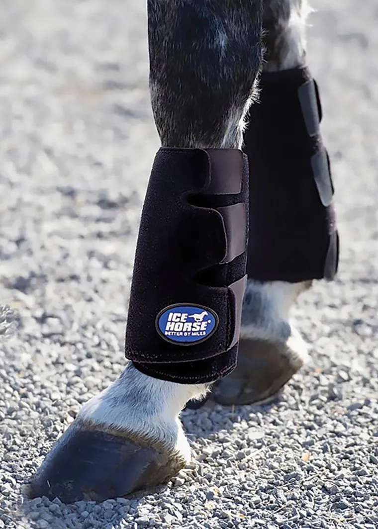 amypeUXm_0.webp Outlet MACKINNON Ice Horse® Tendon Boots