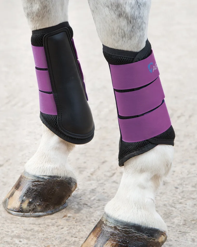 arma-air-motion-brushing-boots-lozlSlVc-3.webp Discount SHIRES EQUESTRIAN ARMA Air Motion Brushing Boots