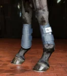asb-all-sport-horse-boots-rKjsSCci-0.webp