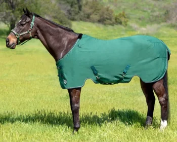 Discount KENSINGTON ™ Pony Poly Cotton Stable Sheet SureFit®