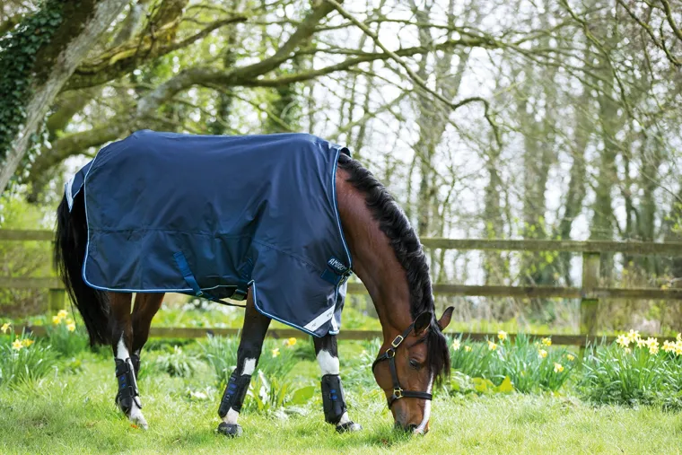bAgWifFV_5.webp Clearance HORSEWARE ® Ireland Amigo® Bravo 12 Heavyweight Turnout Blanket