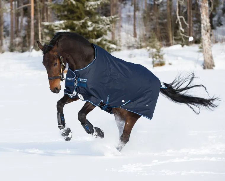 bAgWifFV_6.webp Clearance HORSEWARE ® Ireland Amigo® Bravo 12 Heavyweight Turnout Blanket