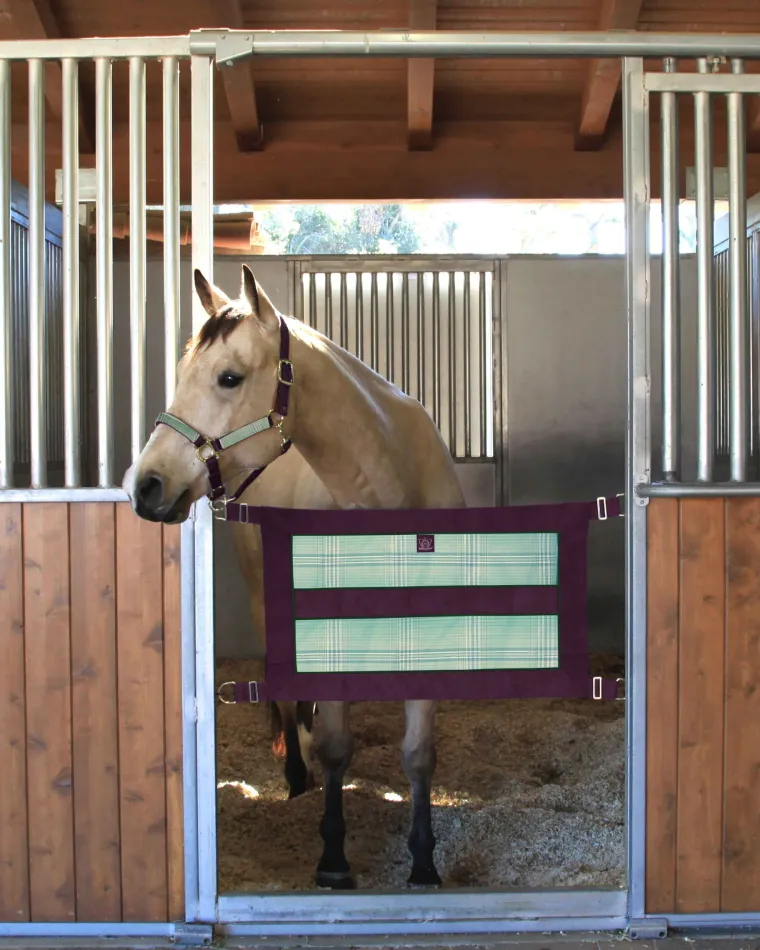 bXoXDabP_3.webp New KENSINGTON ™ Stall Guard