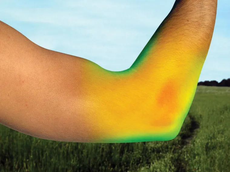 back-on-track-elbow-brace-uCImRBES-3.webp Fashion BACK ON TRACK BOT LL Back On Track® Elbow Brace Black