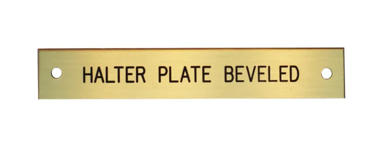 beveled-edge-halter-nameplate-mCgtyllM-3.webp Best DOVER DROPSHIP Beveled Edge Halter Nameplate - 3 Lines