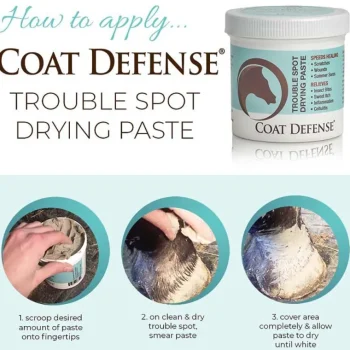 Best HORSEPOWDER INC Coat Defense® Trouble Spot Drying Paste