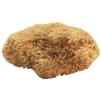 Outlet JACKS MFG Natural Sea Sponges