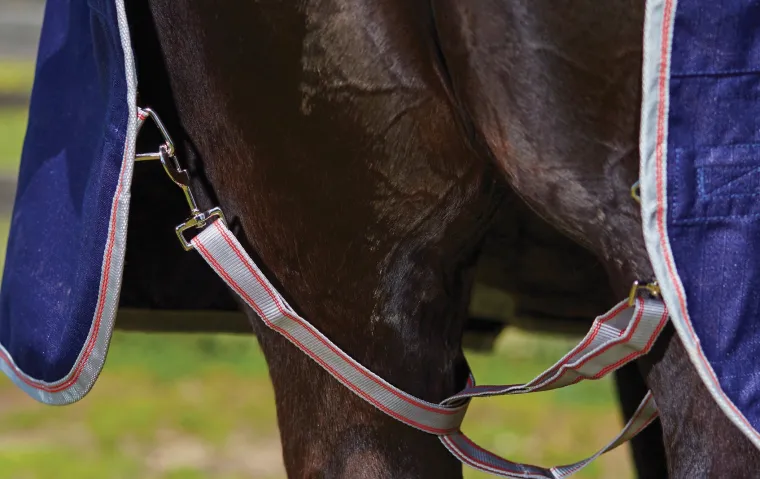blyAcRjh_3.webp Hot WEATHERBEETA ® ComFiTec™ Essential Combo Neck Medium-Weight Turnout Blanket Navy/Silver/Red