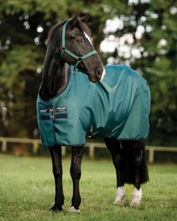 Clearance HORSEWARE ® Ireland Amigo® Ripstop 900D 50 Gram Fleece Lined Standard Neck Turnout