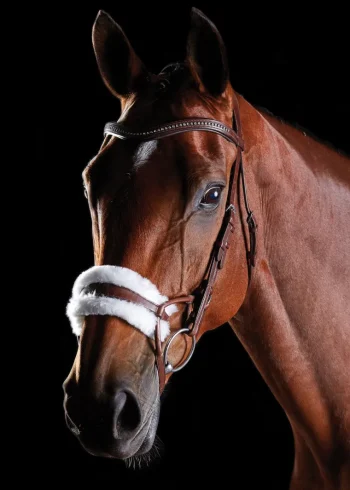 Discount WEATHERBEETA Collegiate® ComFiTec™ Sheepskin Bridle