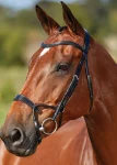 New WEATHERBEETA Collegiate® ComFiTec™ Training Bridle