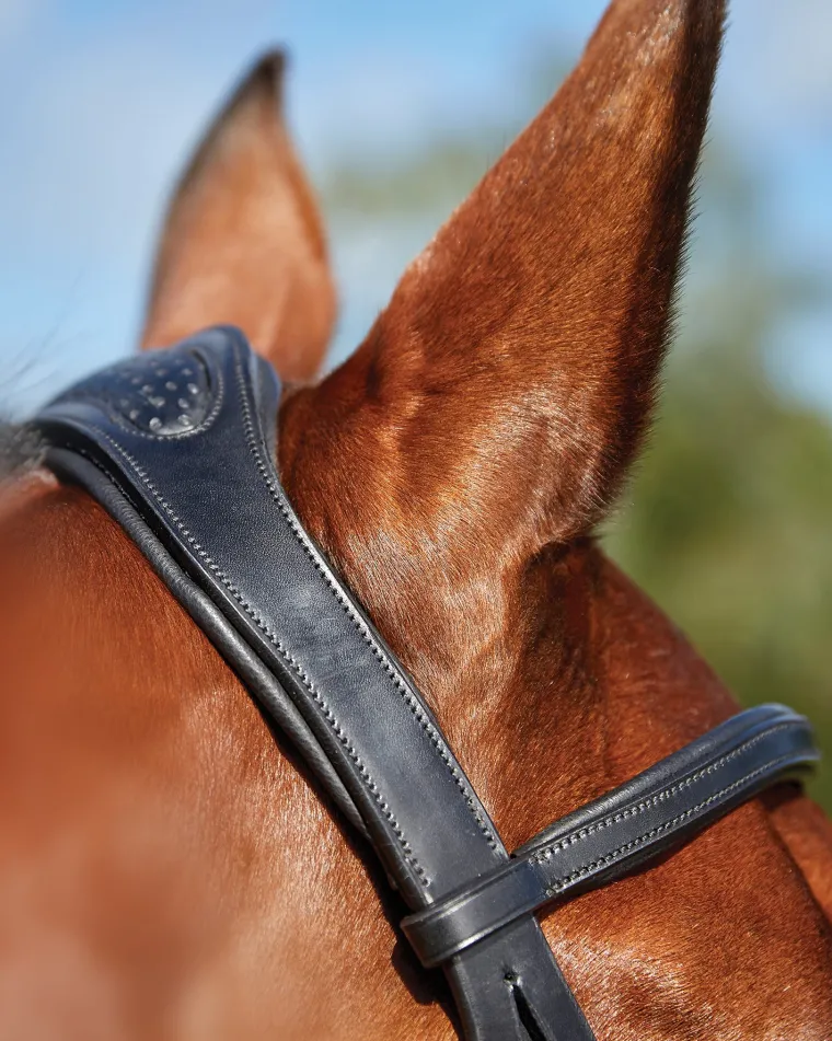 collegiate-comfitec-training-b-qwpTsfhS-5.webp New WEATHERBEETA Collegiate® ComFiTec™ Training Bridle