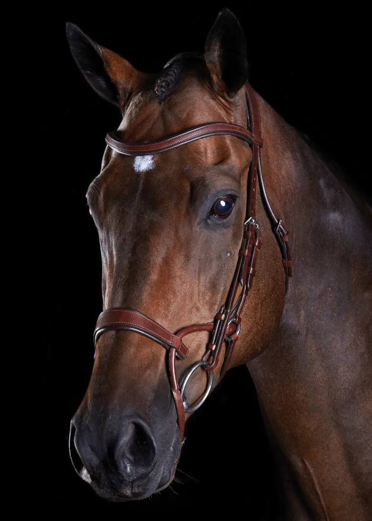 collegiate-comfitec-training-b-qwpTsfhS-6.webp New WEATHERBEETA Collegiate® ComFiTec™ Training Bridle