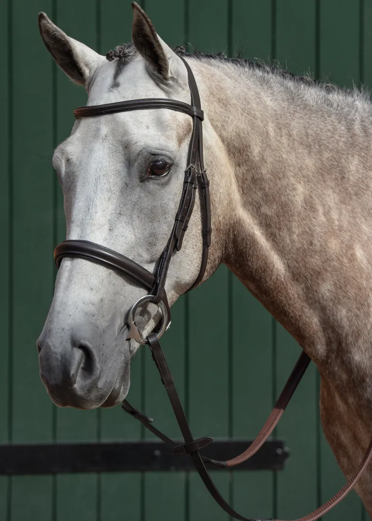 collegiate-essential-padded-ra-AdXgsTgc-1.webp Best WEATHERBEETA Collegiate® Essential Padded Raised Caveson Bridle