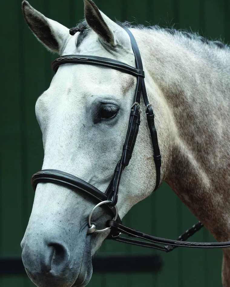 collegiate-essential-padded-ra-LxDBPwjM-0.webp Outlet WEATHERBEETA Collegiate® Essential Padded Raised Fancy-Stitched Caveson Bridle Brown