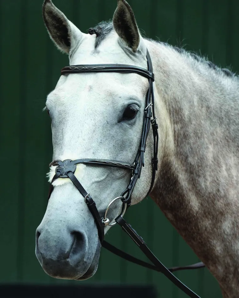 collegiate-essential-padded-ra-WSfVZJZE-0.webp Fashion WEATHERBEETA Collegiate® Essential Padded Raised Fancy-Stitched Figure-8 Bridle Brown