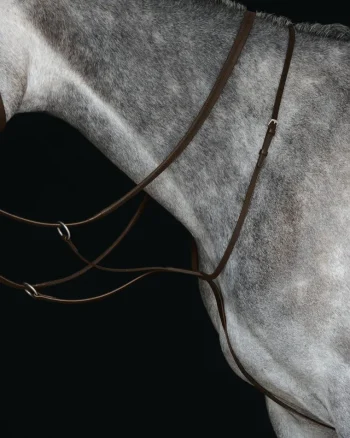 Online WEATHERBEETA Collegiate® Running Martingale IV Brown