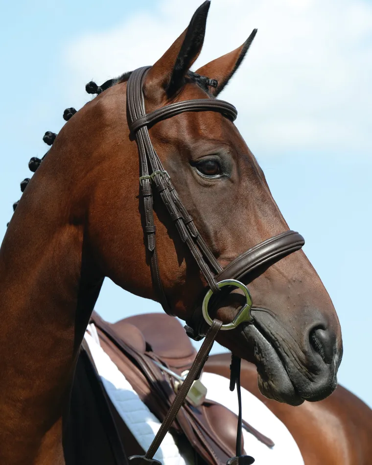 collegiate-syntovia-padded-rai-CLwkKJlF-1.webp Fashion WEATHERBEETA Collegiate® Syntovia+ Padded Raised Caveson Bridle