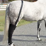 Discount MACKINNON Ice Horse® Full Hind Leg Wrap Pair with Suspender Strap
