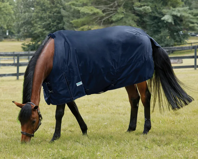 dCPczPof_0.webp Best S.K. EXPORTS Rider’s International™ Heavyweight Turnout Blanket
