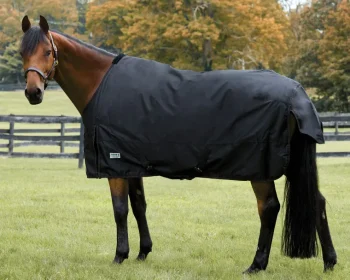 Best S.K. EXPORTS Rider’s International™ Heavyweight Turnout Blanket