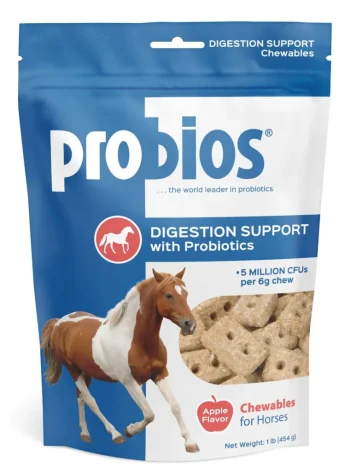 Outlet ANIMAL HEALTH INT Probios® Digestive Supplement Treats