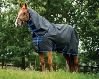 Best HORSEWARE ® Ireland Amigo® 900D Ripstop Plus 200 Gram Turnout Blanket-Core Colors